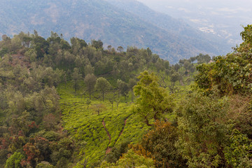 Obraz premium Wide view of Suicide point view at Ooty, India, 19 Aug 2016