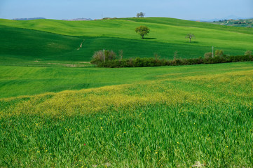 Rolling hills of Tuscany