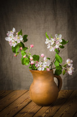 Branch of a blossoming apple-tree in a clay pitcher, close-up