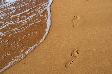 Footprints in the sand on the beach