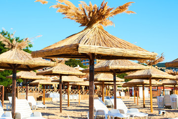 umbrellas and sun beds on the beach