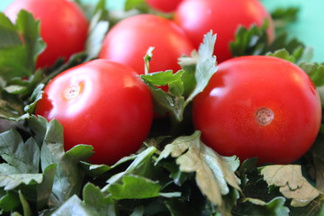 tomatoes and parsley