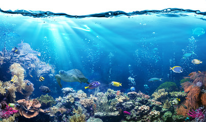 Scène sous-marine avec récif et poissons tropicaux