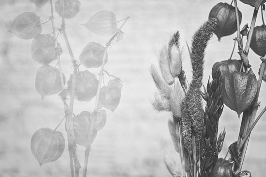 the creative background of flowers and herbs