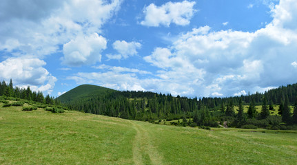 Beautiful green meadow in the Carpathian mountains, Ukraine. Blue sky with white clouds on the background.