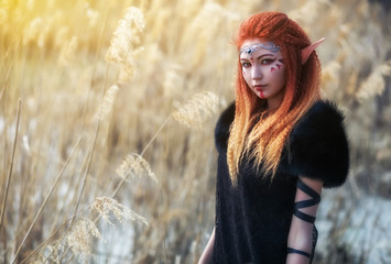 Elf women with fiery hair on nature. Beautiful young fantasy girl. Cosplay character - obrazy, fototapety, plakaty