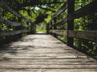 Wooden pathway