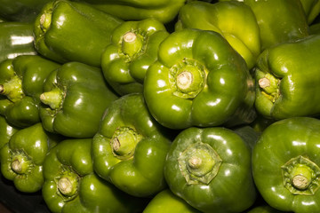 The bell pepper produce fruits in different colors, including red, yellow, orange, green, chocolate/brown, vanilla/white, and purple.