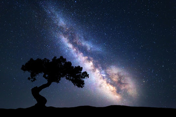 Milky Way with alone old tree on the hill. Colorful night landscape with milky way, sky with stars...