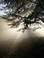 Soleil et Brouillard