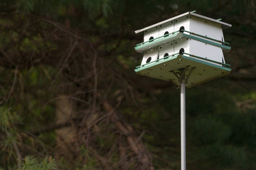 Birdhouse