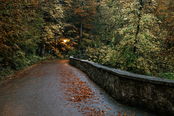 Hohenschwangau near Fussen in Bavaria, Germany. The road for a walk on the Alpsee lake is surrounded by an autumn forest.