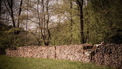 Brennholz © focus finder