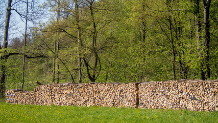 Brennholz © focus finder