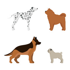 Funny cartoon dog character bread in cartoon style vector illustration.