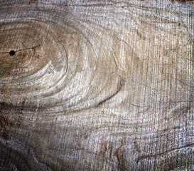 Fototapeta premium wood