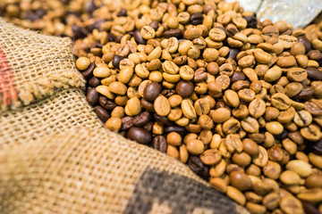 coffee seeds in a sack