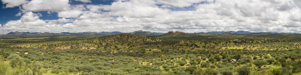 Fototapeta na wymiar Panorama of the namibian grassland in the rain season