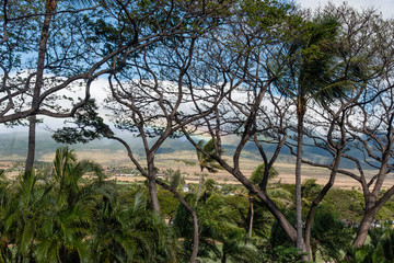 Fototapeta premium Beautiful Maui vista with a rainbow 