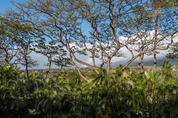 Beautiful Maui vista with a rainbow 