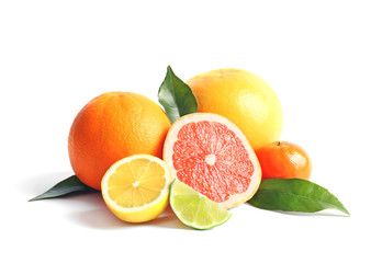 Citrus fruits on white background - obrazy, fototapety, plakaty