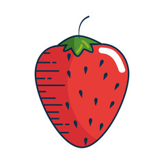 stawberry fruit icon over white background. colorful design. vector illustration