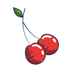 cherry fruit icon over white background. colorful desing. vector illustration