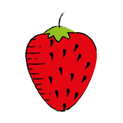 stawberry fruit icon over white background. colorful design. vector illustration
