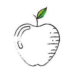 apple fruit icon over white background. vector illustration