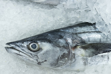 Fresh fish on ice for selling at the local market on a tropical Bali island, Indonesia.