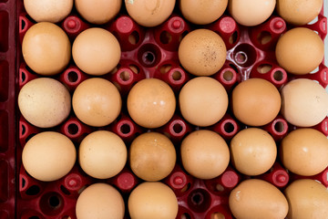 A lot of egg in panel display for sale in local fresh food market, tropical Bali island, Indonesia.
