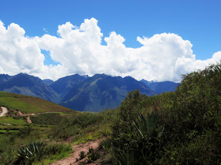 Agricultural field in Sacred Valley, Cusco