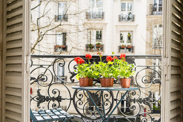 Fototapeta na wymiar Springtime with red geraniums on a Paris balcony