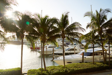 Yachts docked in Miami Florida USA