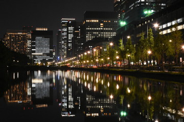 東京の都市の夜景（日比谷通りのビル群と並木の新緑）
