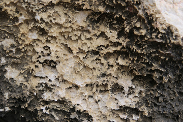 stone texture, Porous