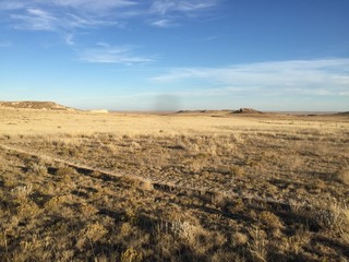 Colorado Grasslands