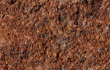 dry yellow moss for background texture