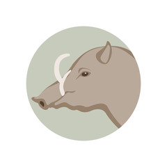 warthog head vector illustration style Flat