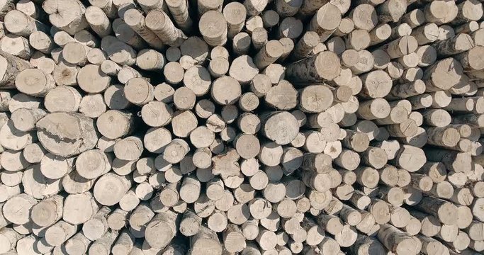 A background of wooden logs