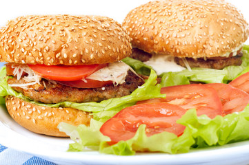 Delicious fresh homemade burger on a fabric background
