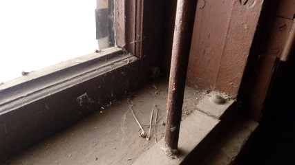 A look from the conclusion