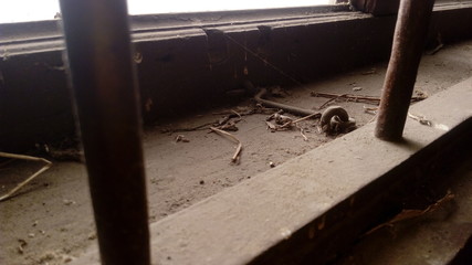 A look from the conclusion