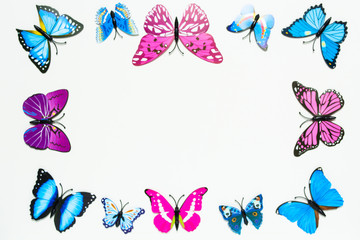 Butterfly frame decoration on white background