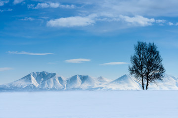 北海道、雪の十勝岳に登る朝日