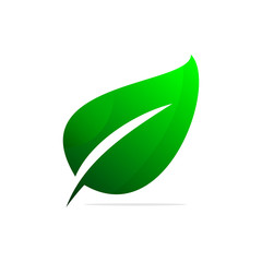 GREEN LEAF ICON DESIGN