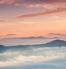 Mountain valley during sunrise. Natural landscape in the summer time