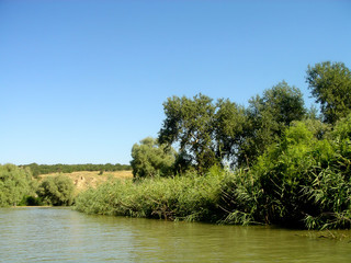 Bank of the river