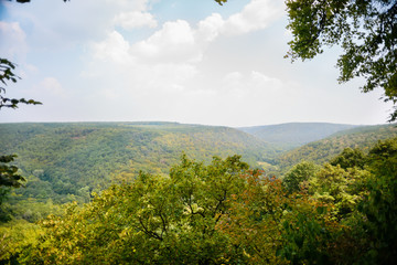 Mountain landscape, wonderful forest on Mount germinating