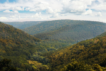 Mountain landscape, wonderful forest on Mount germinating
